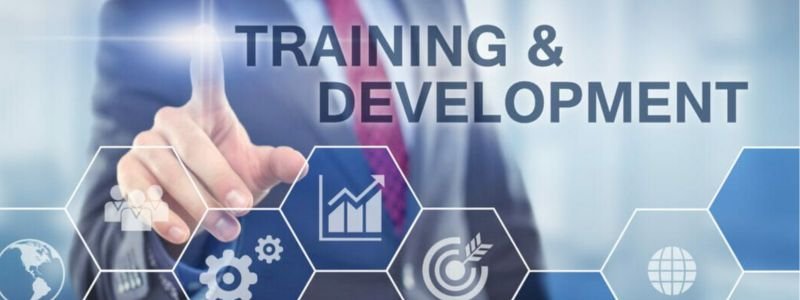 Training & Development